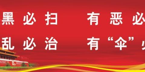 深化扫黑除恶专项斗争       共建平安和谐社会环境