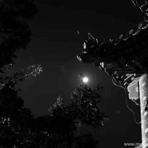 月夜芙蓉香 似是故人来