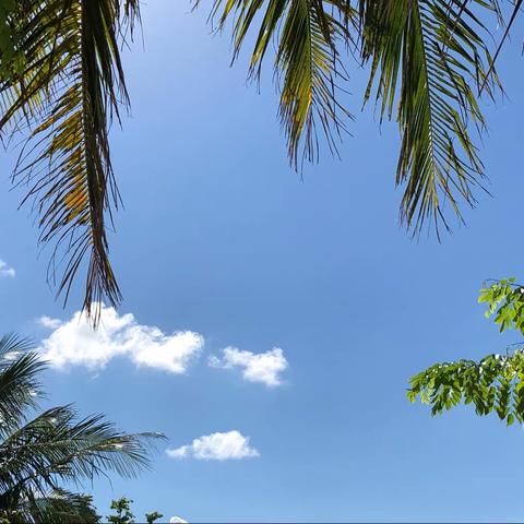 写在清晨