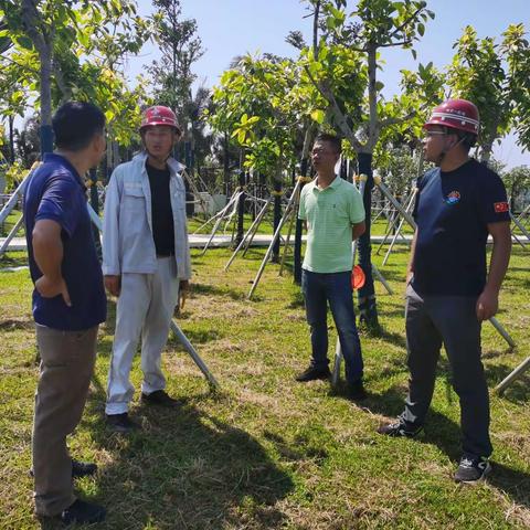 市林业局项目办检查江东新区湿地智能化项目设备运行情况