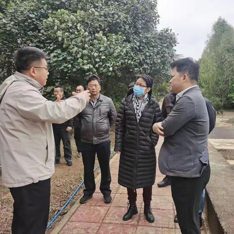 市政府副秘书长黄燕赴琼山区督导检查中央第三环保督察组交办信访件整改工作