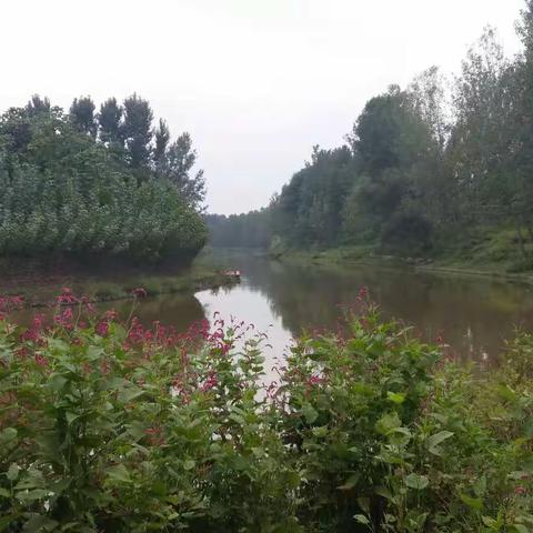 骑行大运河浚县段