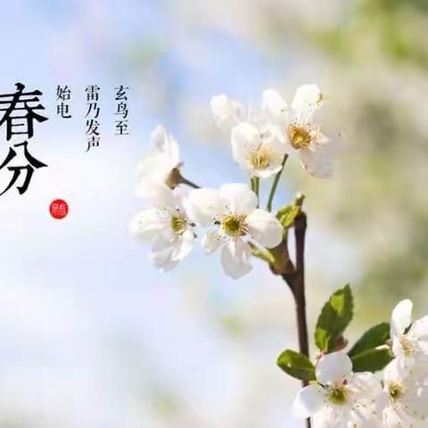 呵护“花朵”，我们一直很用心——记西联幼儿园