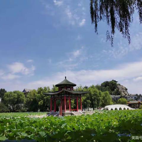 乘风破浪，玩转夏日|岐山湖主题夏令营