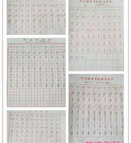 驼峰杨大庄小学读写讲活动展示八