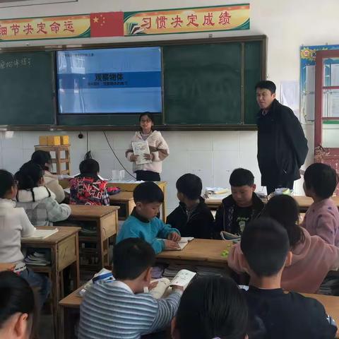 驼峰小学北片四校数学联片教研活动