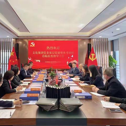 文化集团党委开展2021年度基层党建督查考核工作