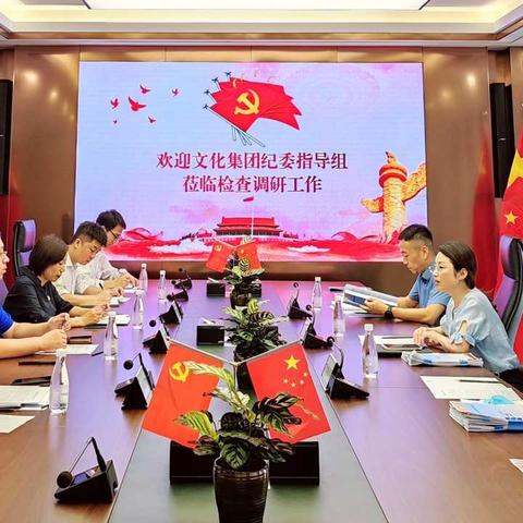 集团纪委开展纪检工作督导调研