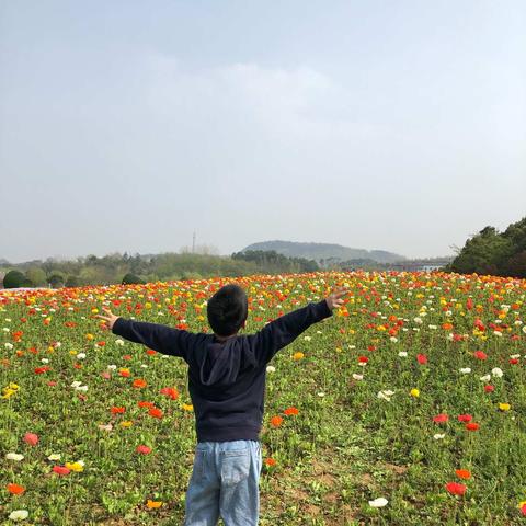 花谷奇缘一日游