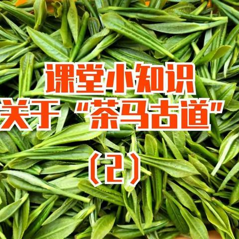 “茶马古道”课程的一些知识（2）