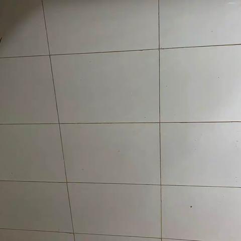 万达鸭房大扫除