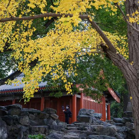 【万寿寺】·北京艺术博物馆