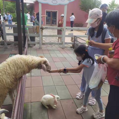 龙沙动植物园之旅