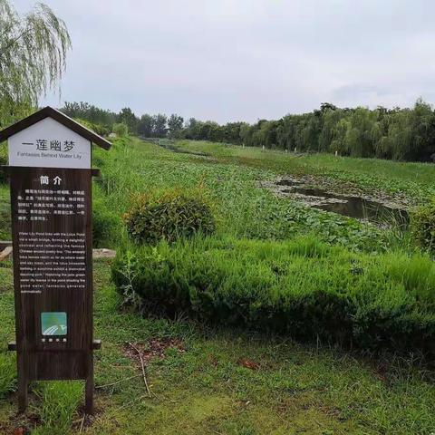 龙亢农场科技园3A级风景区，欢迎来参观游玩，最好搬来住，让我们是邻居