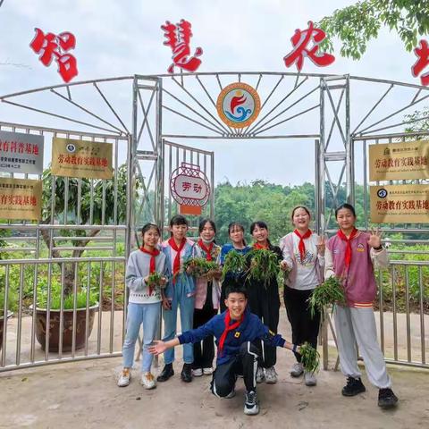 劳动创造美好生活——峰高中心小学六年级五班劳动基地体验
