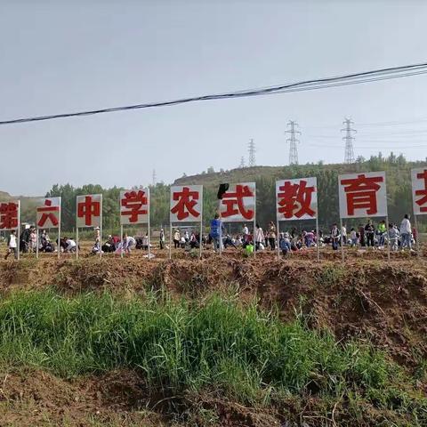 体验农耕文化，享受绿色生活——神木六中开展农耕研学活动