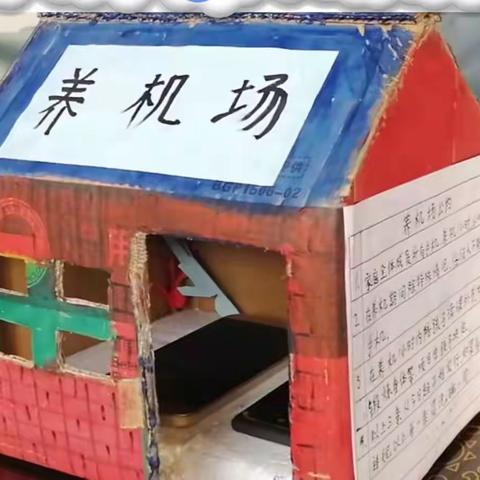 巧建“养机场”，共享好时光---梨丰乡中心校