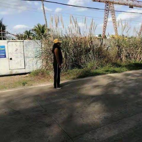 龙泉镇严禁焚烧垃圾、秸秆常态巡查（十）