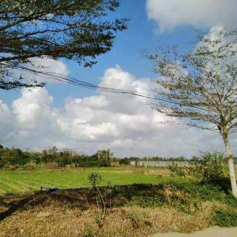 龙泉镇严禁焚烧垃圾、秸秆常态巡查（六）