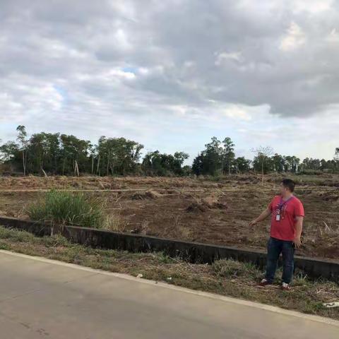 龙泉镇严禁焚烧垃圾、秸秆常态巡查（七）