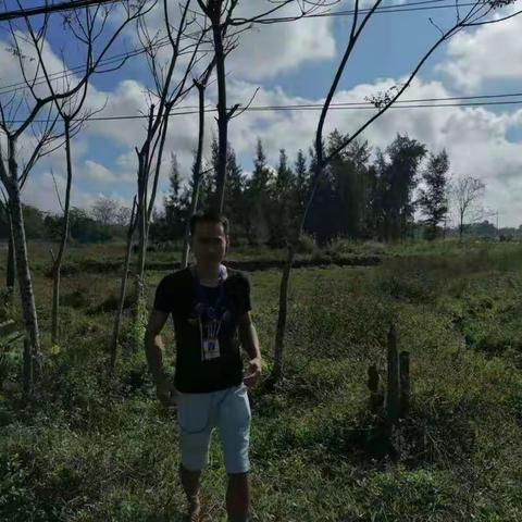 龙泉镇严禁焚烧垃圾、秸秆常态巡查（九）