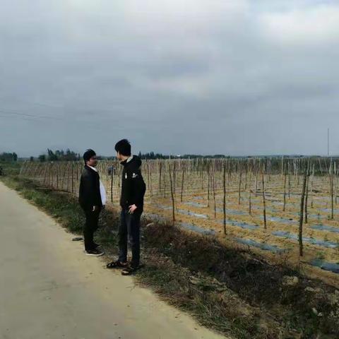 龙泉镇严禁焚烧垃圾、秸秆常态巡查（八）