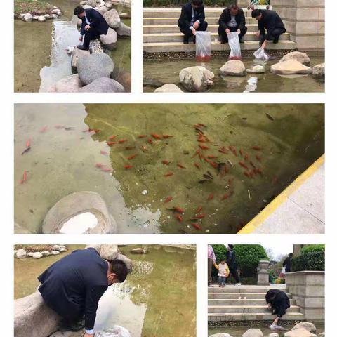 山水物业中豪汇景湾投放鱼苗活动