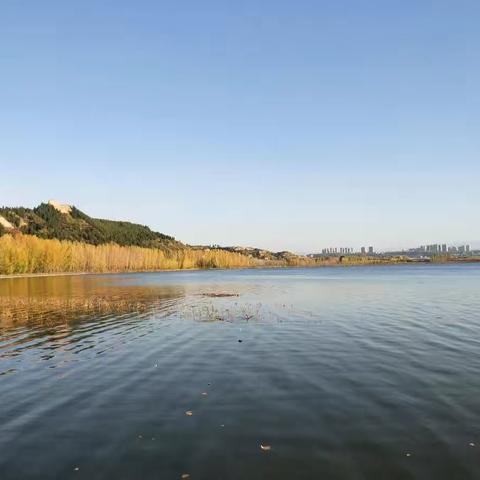 【张湾乡关沟小学】学会感恩 与爱同行——十月份德育感恩系列活动掠影