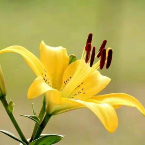 【张湾乡关沟小学】安全无小事 责任重泰山——2018–2019学年上期安全综治工作总结