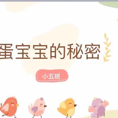 蛋宝宝的秘密———小五班主题活动