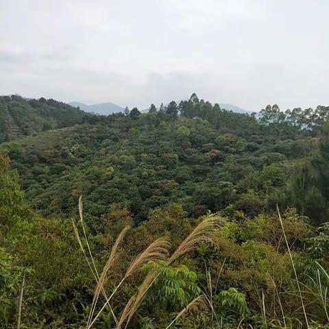 唯愿一切安好！