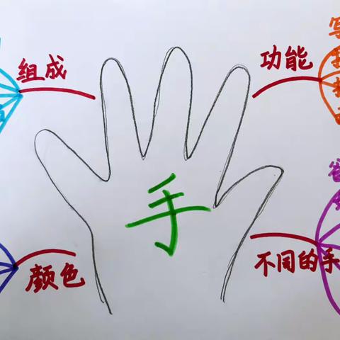 最重要的它——手