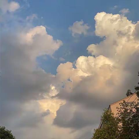 云上筑梦，别样精彩——西向镇中心小学线上教学榜样教师 齐珍英