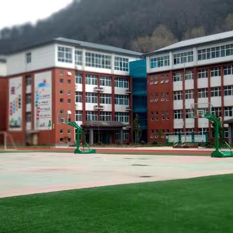 防疫不停学，隔屏不隔爱 ――双槐树中学第七周教学工作纪实