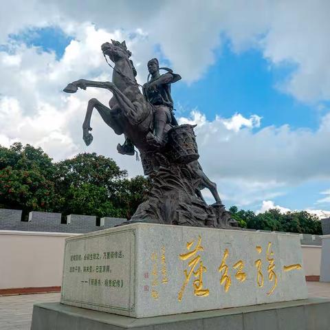 岭南佳果·高州荔枝