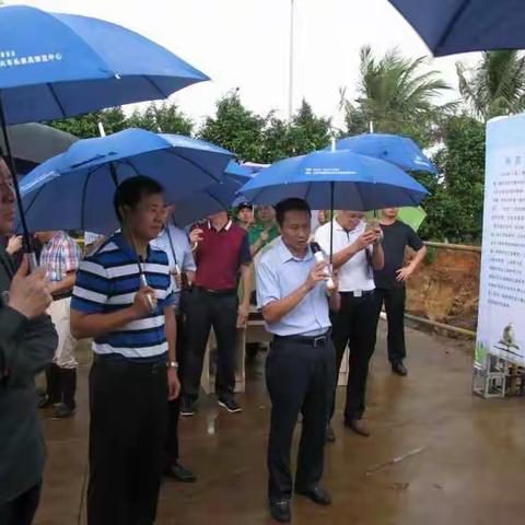 全国城市建成区违法建设治理工作第二十二督查组在海口开展实地督查工作