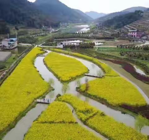 我家乡美丽的山村-虎头村