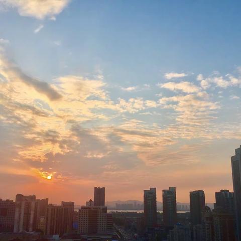 秋夜