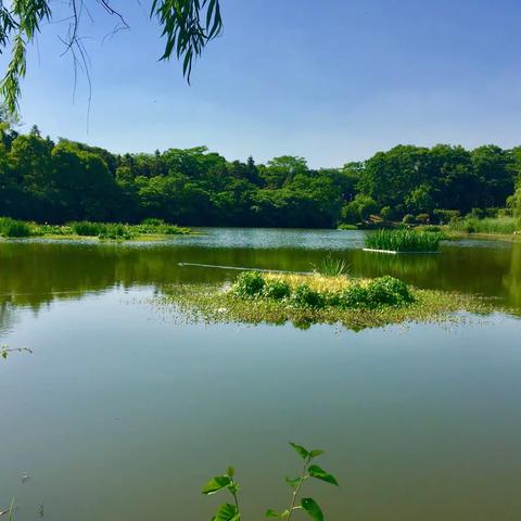 驾车溧水