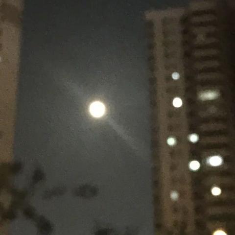 中秋节