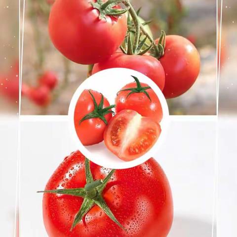 师远恒小朋友认识蔬菜！