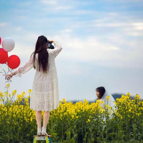 油菜花开满地黄