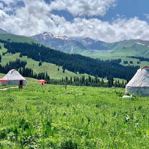 大美新疆行（四）百里画廊、那拉提空中草原