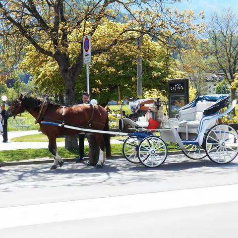 爱友的美篇欧州六国行 (下)