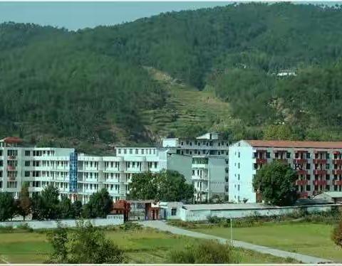 扬帆 起航 圆梦，我们在路上！——记张塝镇新入职教师培训