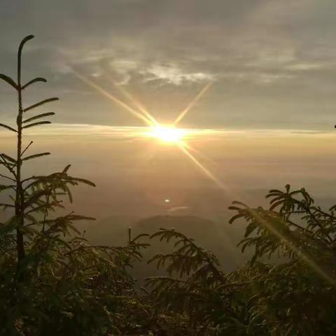 乘法口诀记忆具体做法记录