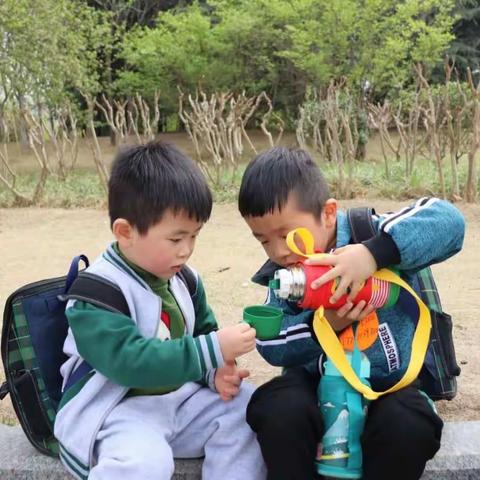 《二七区自然树蒙特梭利幼儿园》春天，你好