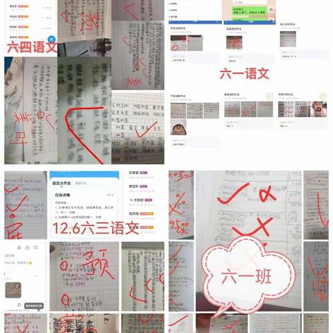 停课不停学，成长不停歇——鸦岭小学六年级网课一周总结