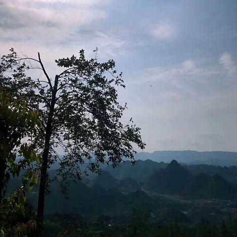 梦里故乡