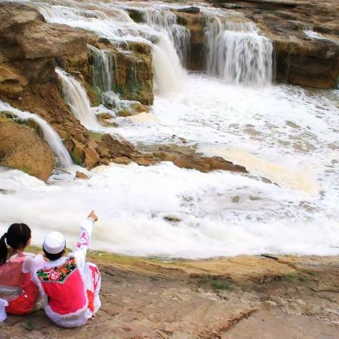千年一爱红枸杞